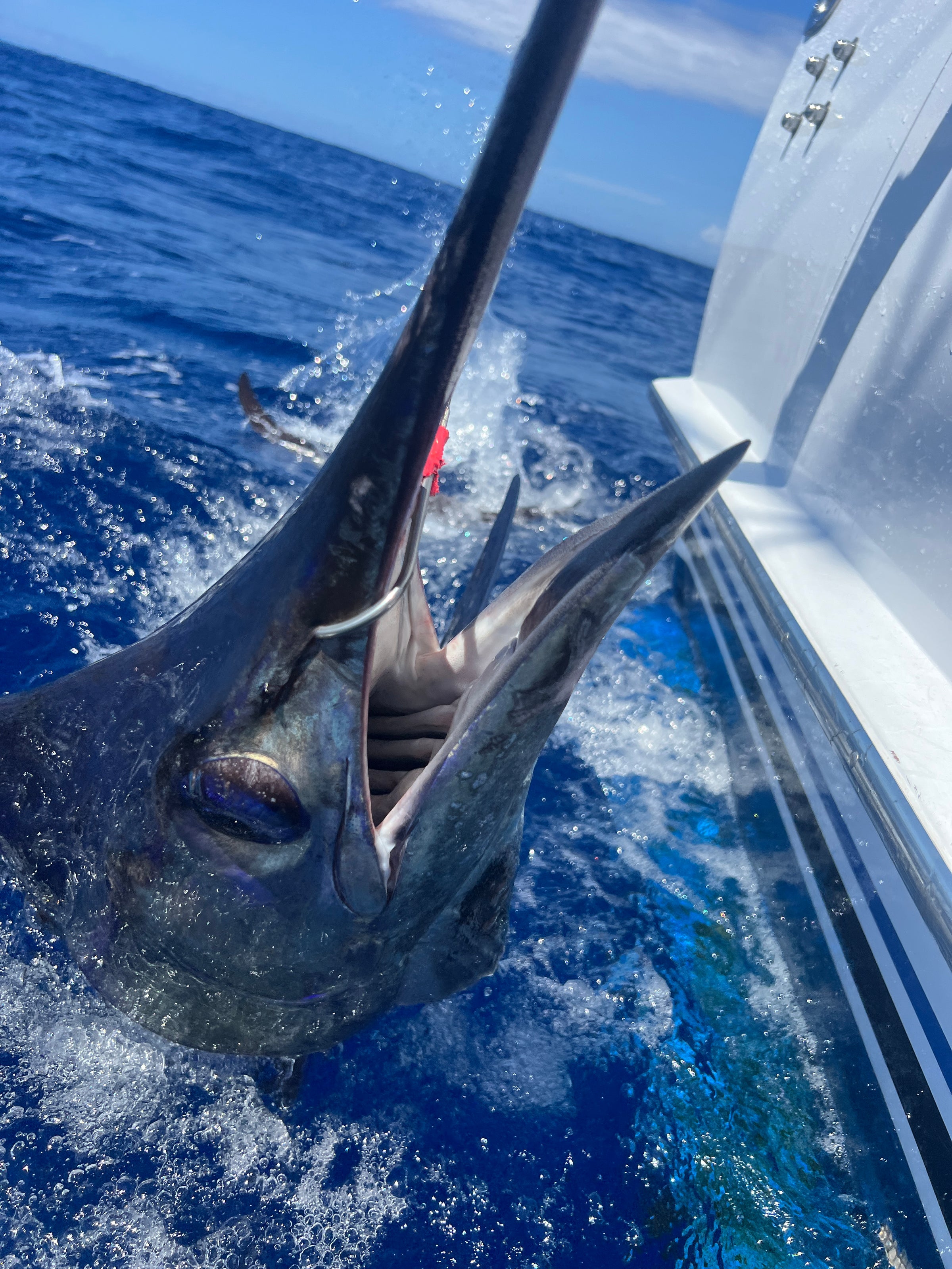 Marlin fish being caught on a boat with water splashing around